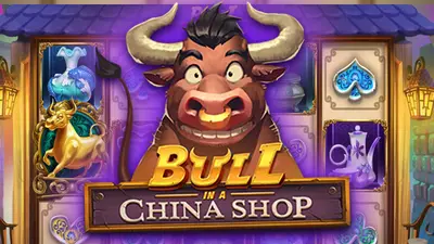 bull in a china shop